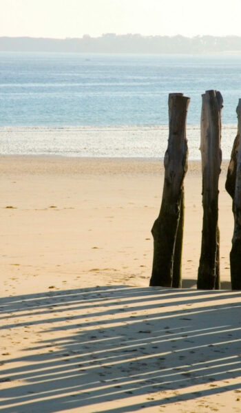 Traditional wooden stakes at Saint-Malo (Brittany, France) Traditional wooden stakes at Saint-Malo (Brittany, France)