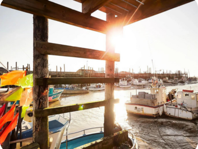 blog-guest-adom-top-5-destinations-port-baie-du-bourgneuf-challans blog-guest-adom-top-5-destinations-port-baie-du-bourgneuf-challans