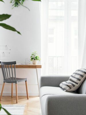 Modern scandinavian living room with design furniture, grey sofa Modern scandinavian living room with design furniture, grey sofa